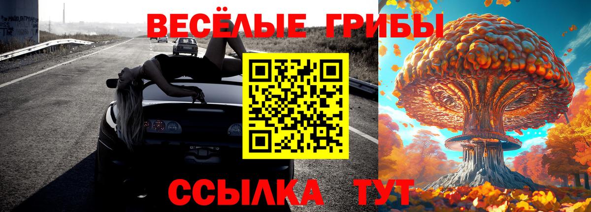 Псилоцибиновые грибы прущие грибы  Псилоцибиновые грибы прущие грибы  Белорецк  Вход с VPN 